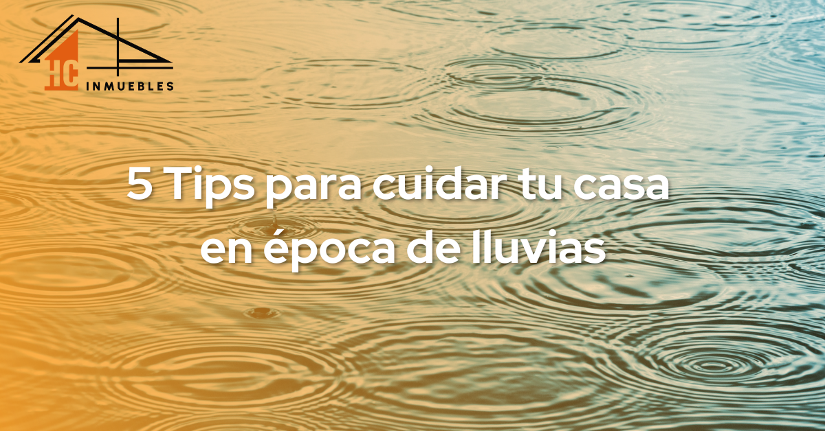 charco de agua